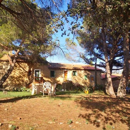 Maison Entiere Hameau Monastir Del Camp Passa Eksteriør billede