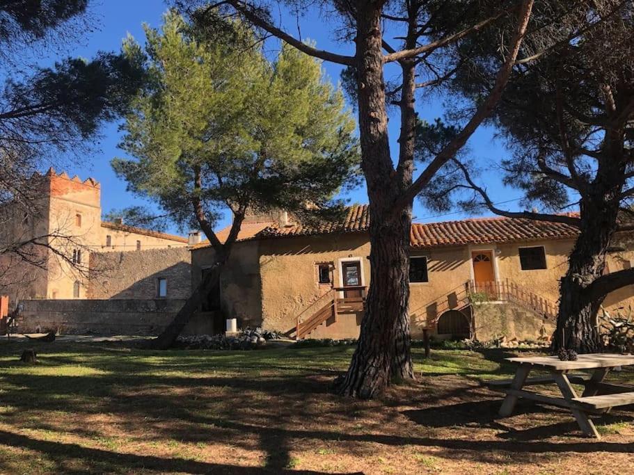 Maison Entiere Hameau Monastir Del Camp Passa Eksteriør billede